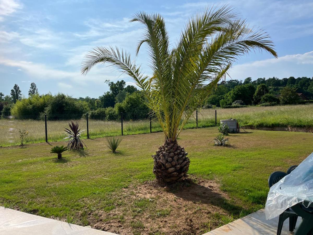 Chambre Double -Vue Sur Jardin Bergerac Ngoại thất bức ảnh
